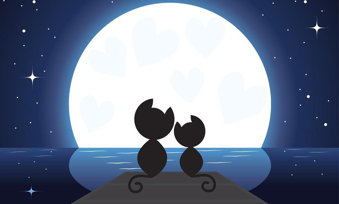 黄石潮客汇微信活动策划案例